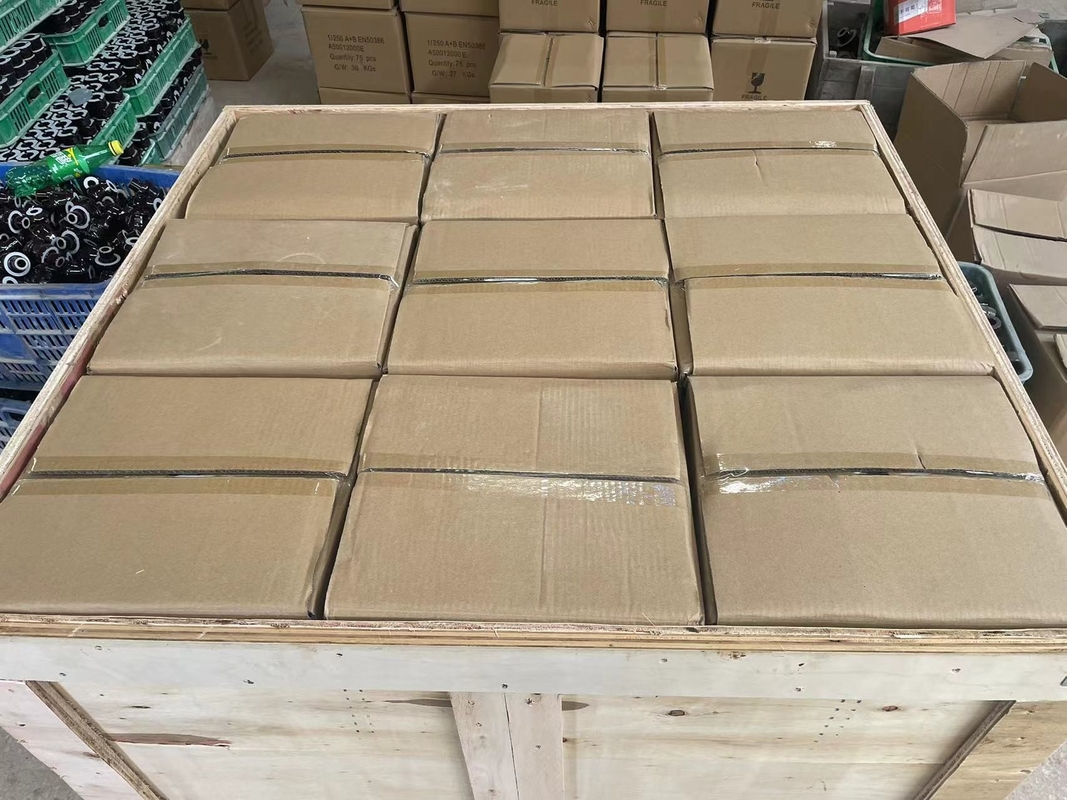 LÄRM Standard-1kV 250A Transformator-Porzellan-Buchse CD70MM Soem